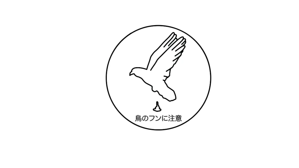 鳥のフンの落とし方を分かりやすく徹底解説